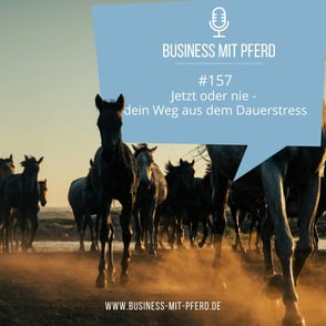 #157 Jetzt oder nie – dein Weg aus dem Dauerstress