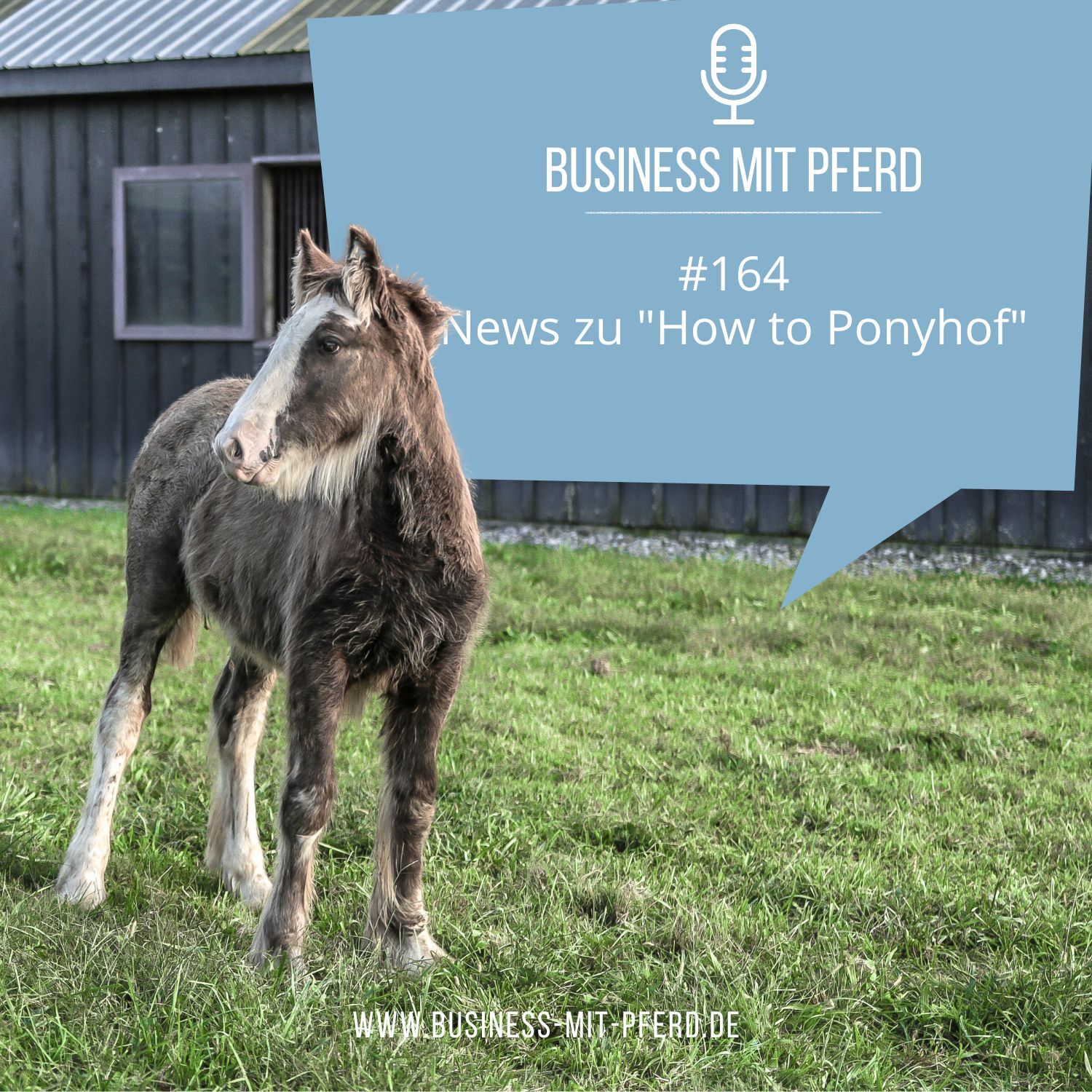 #164 News zu "How to Ponyhof"