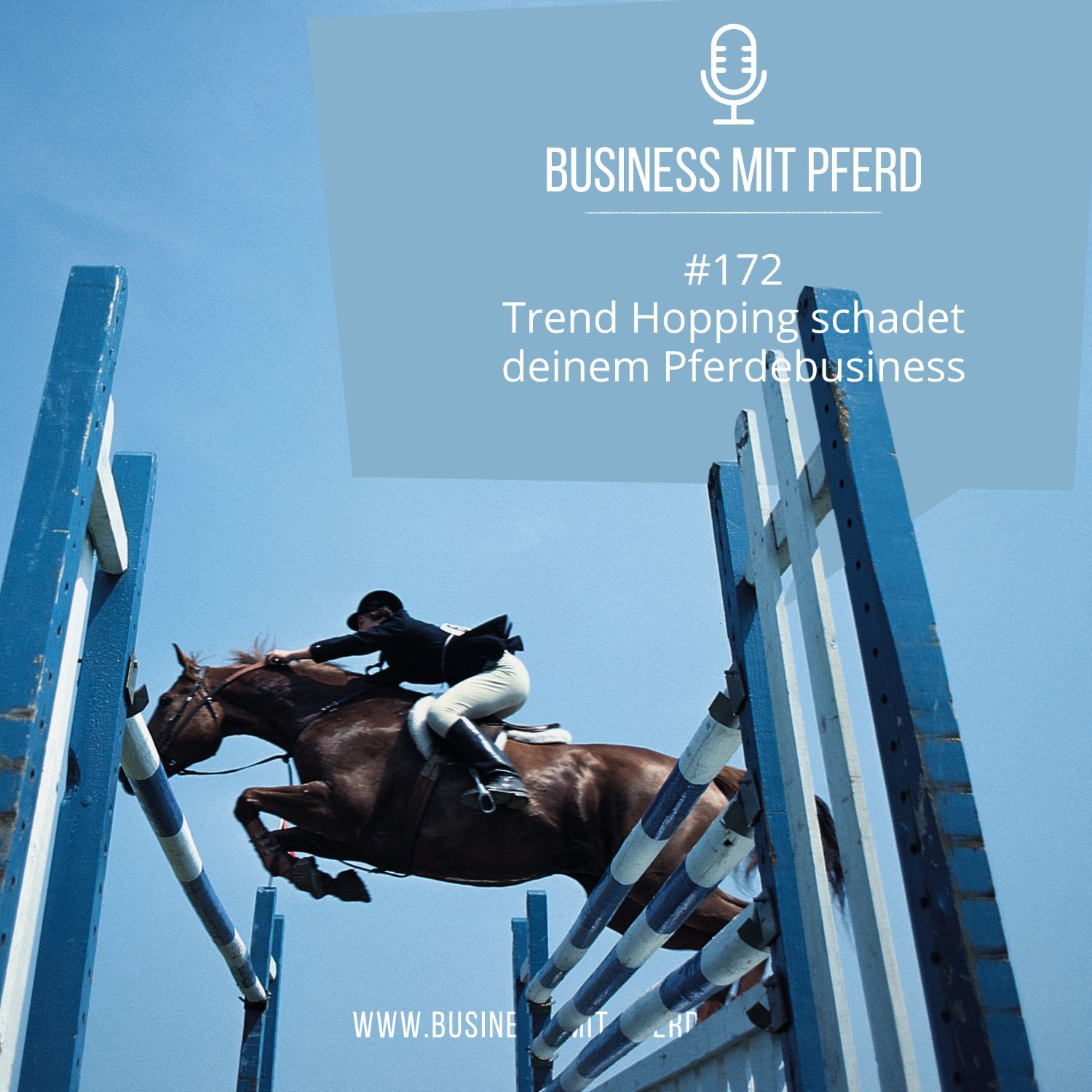 #172 Trend Hopping schadet deinem Pferdebusiness