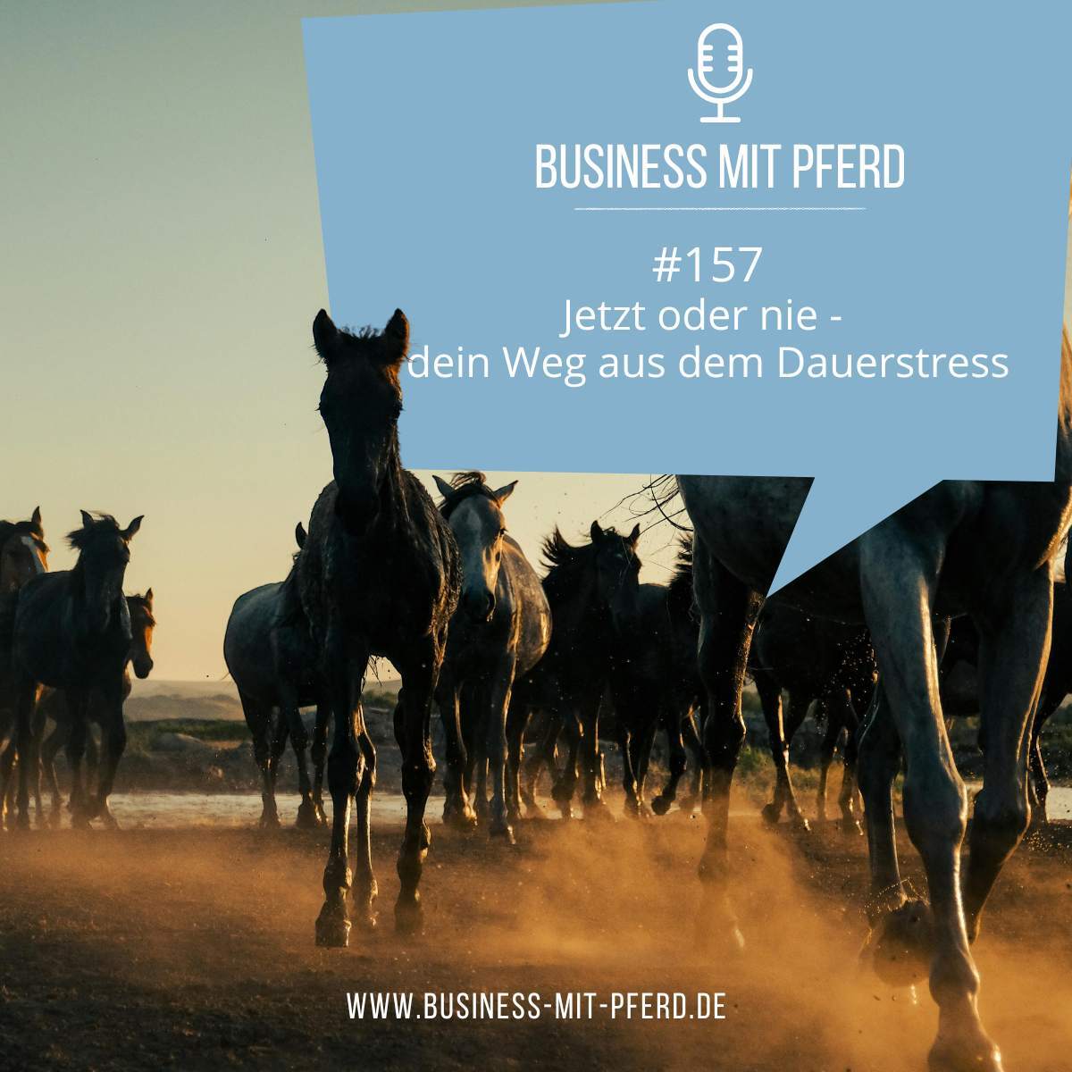 #157 Jetzt oder nie - dein Weg aus dem Dauerstress
