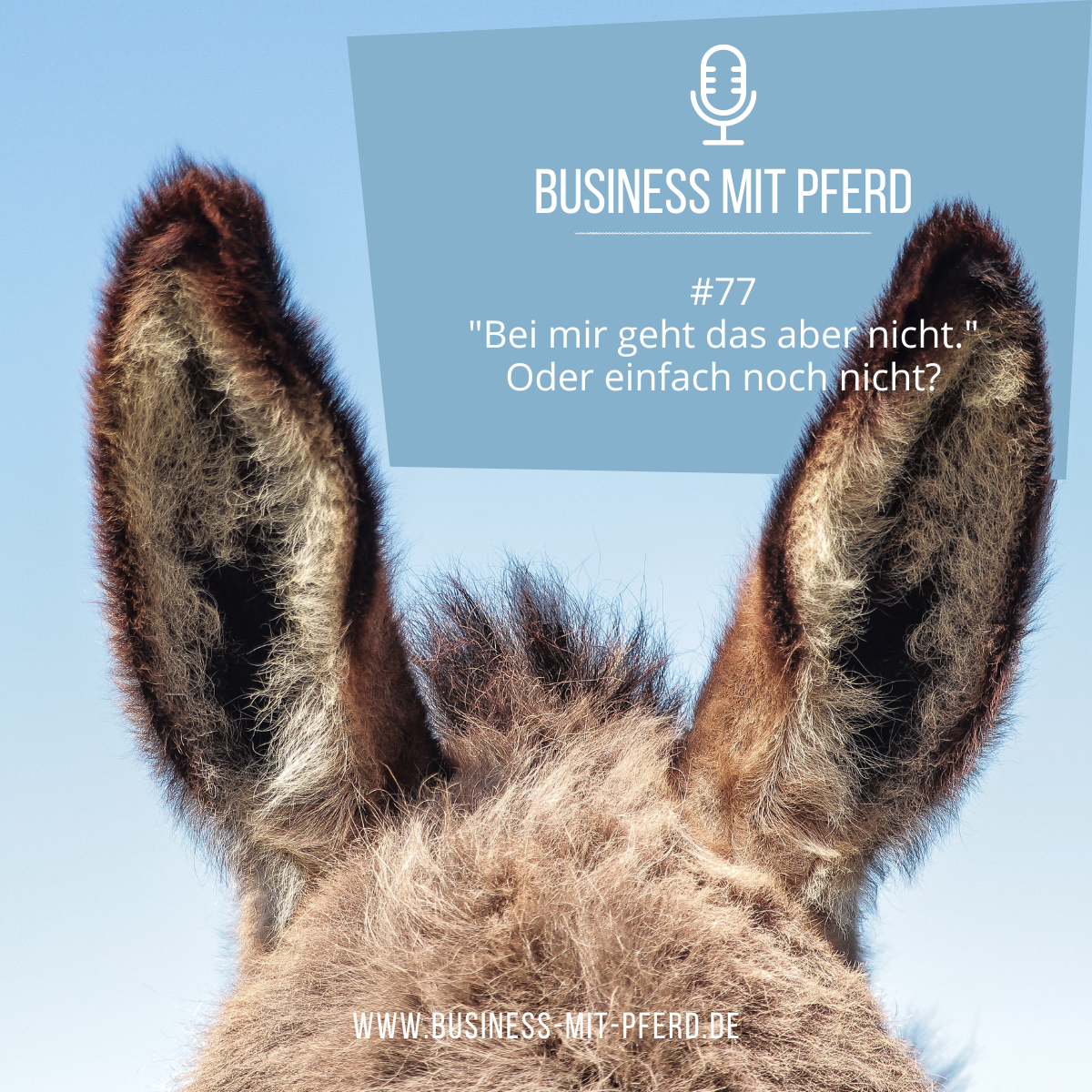 #77 "Bei mir geht das aber nicht." Oder einfach noch nicht?