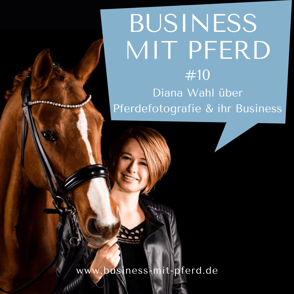 Business mit Pferd