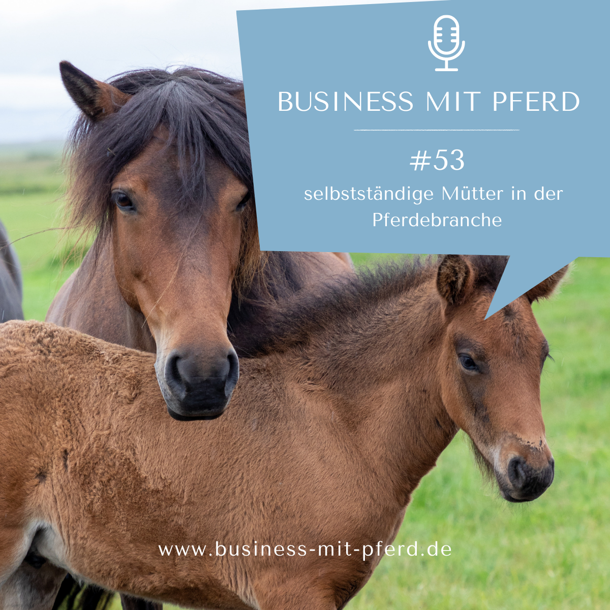 #53 - selbstständige Mütter in der Pferdebranche