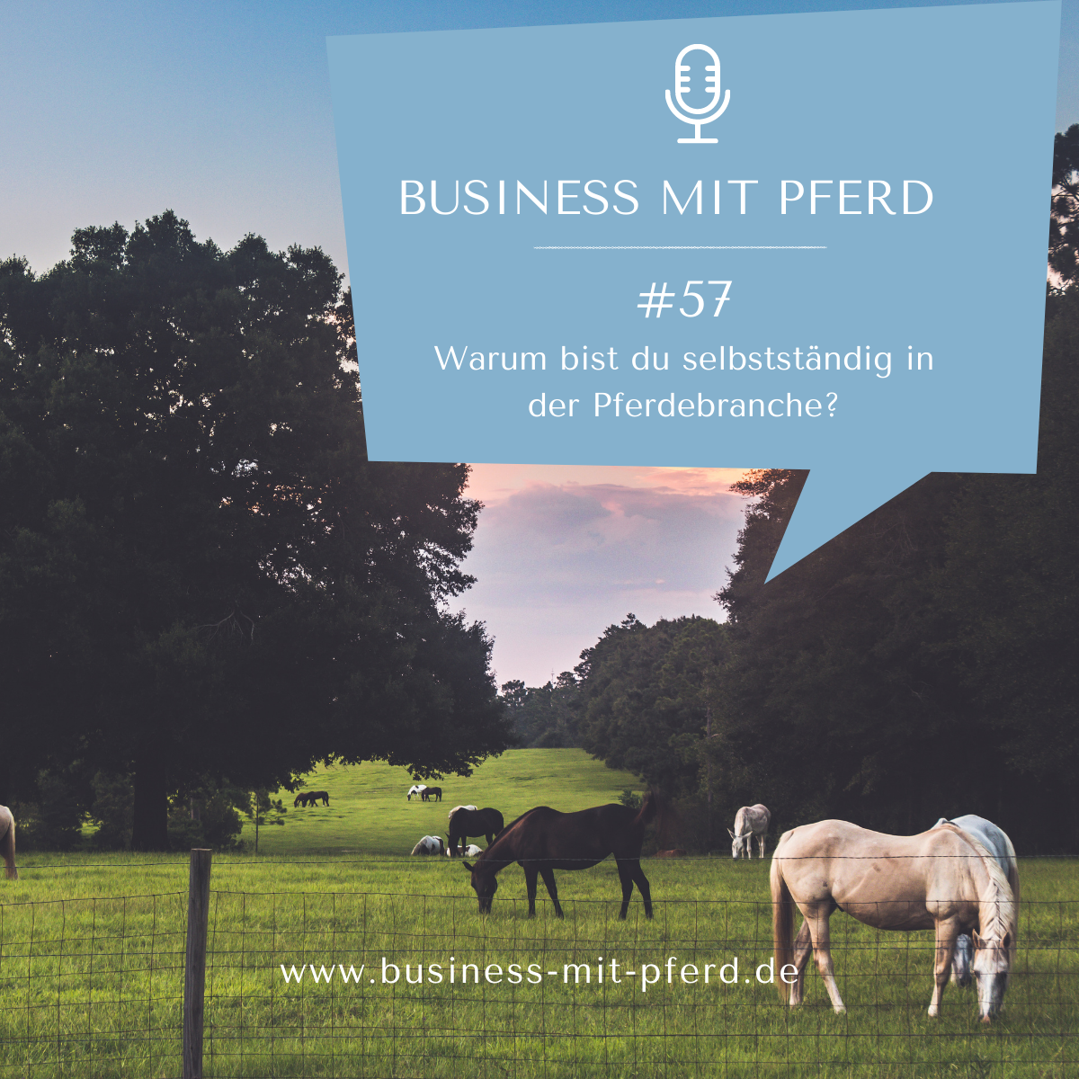 #57 Warum bist du selbstständig in der Pferdebranche?