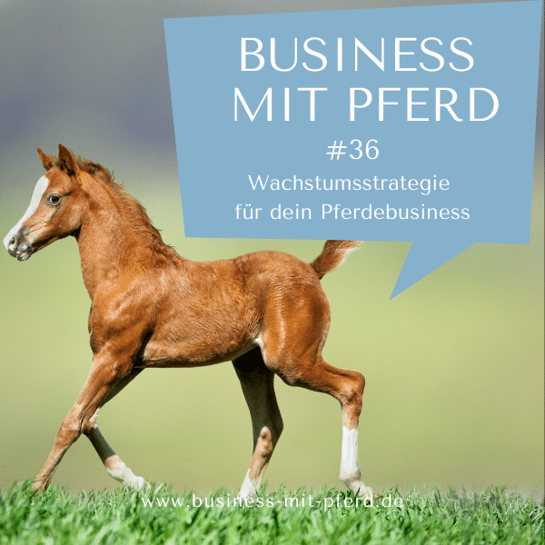 #36 - Wachstumsstrategie für dein Pferdebusiness