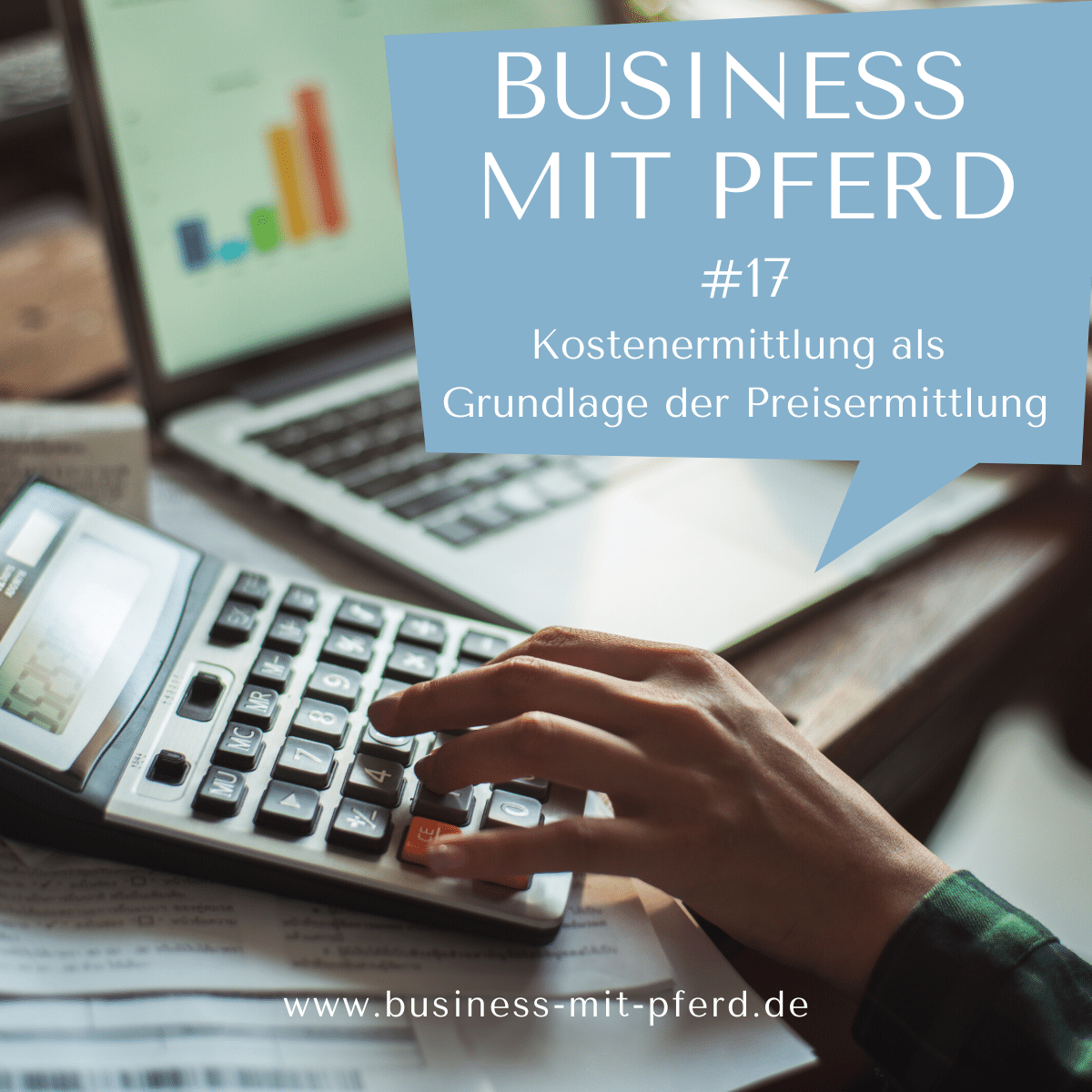 Business mit Pferd