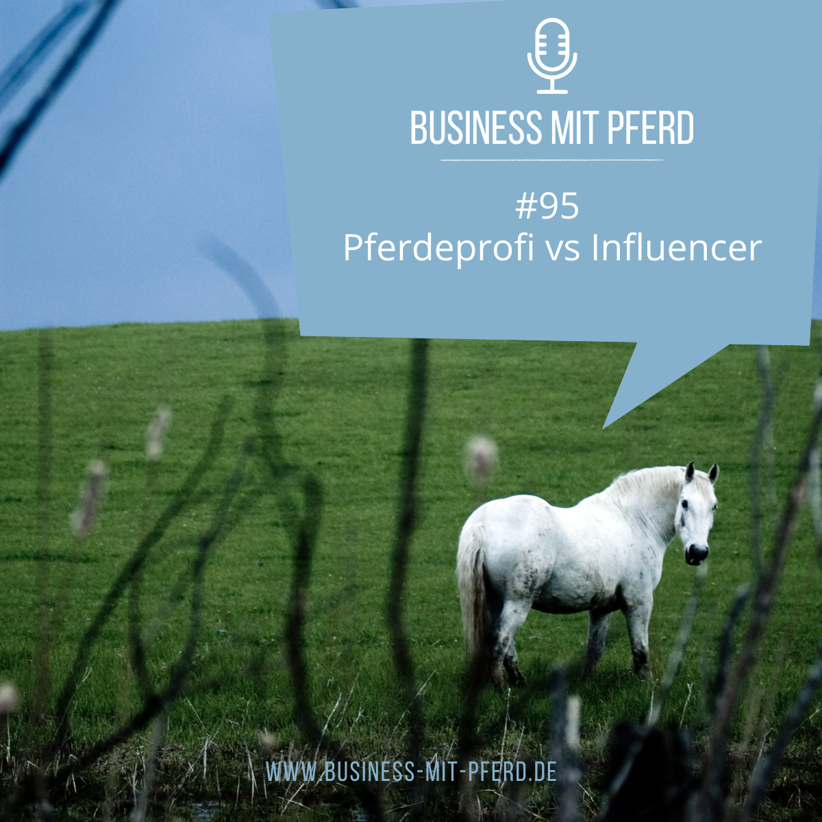 Business mit Pferd