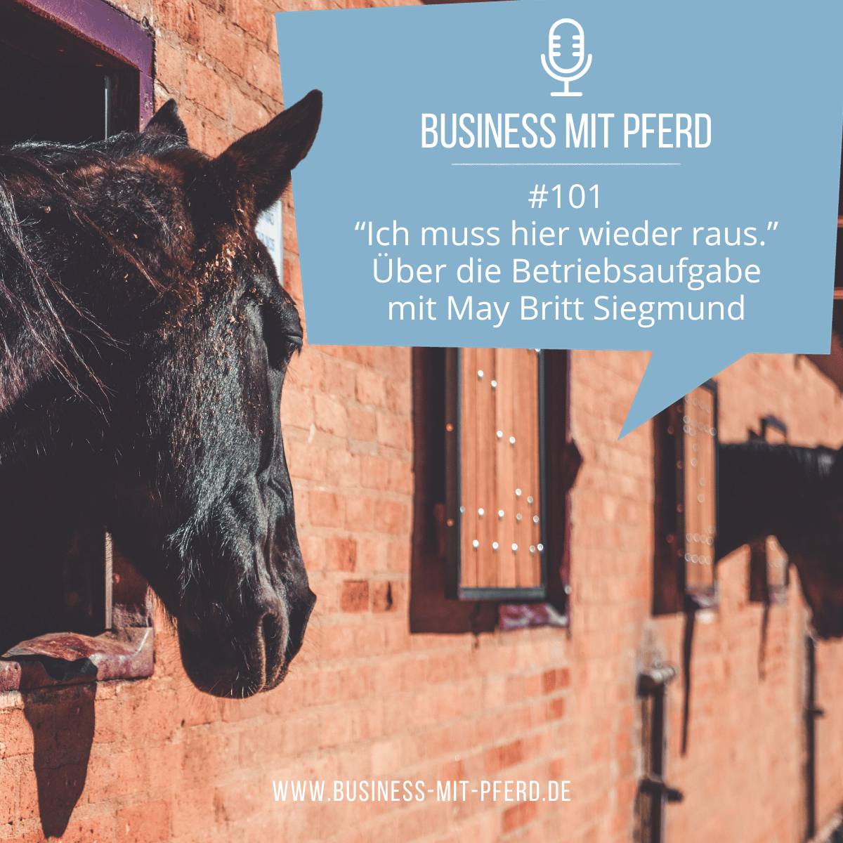 Business mit Pferd