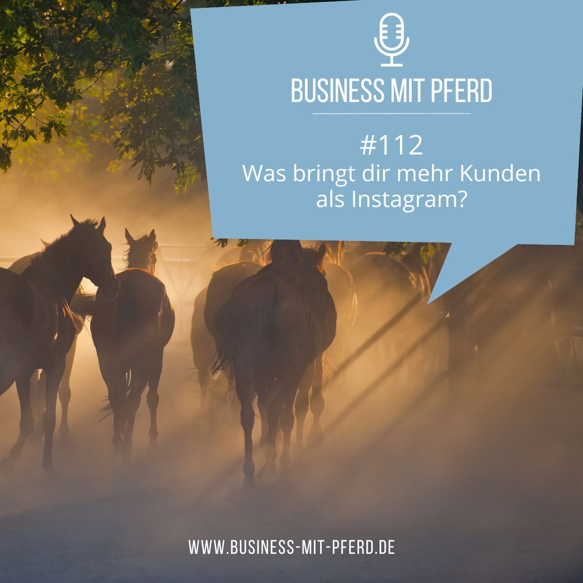 Business mit Pferd