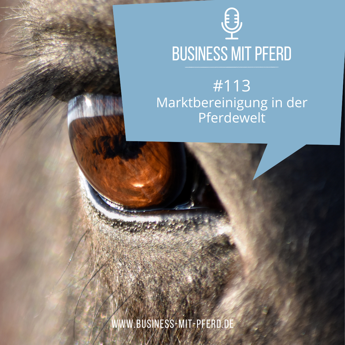 Business mit Pferd