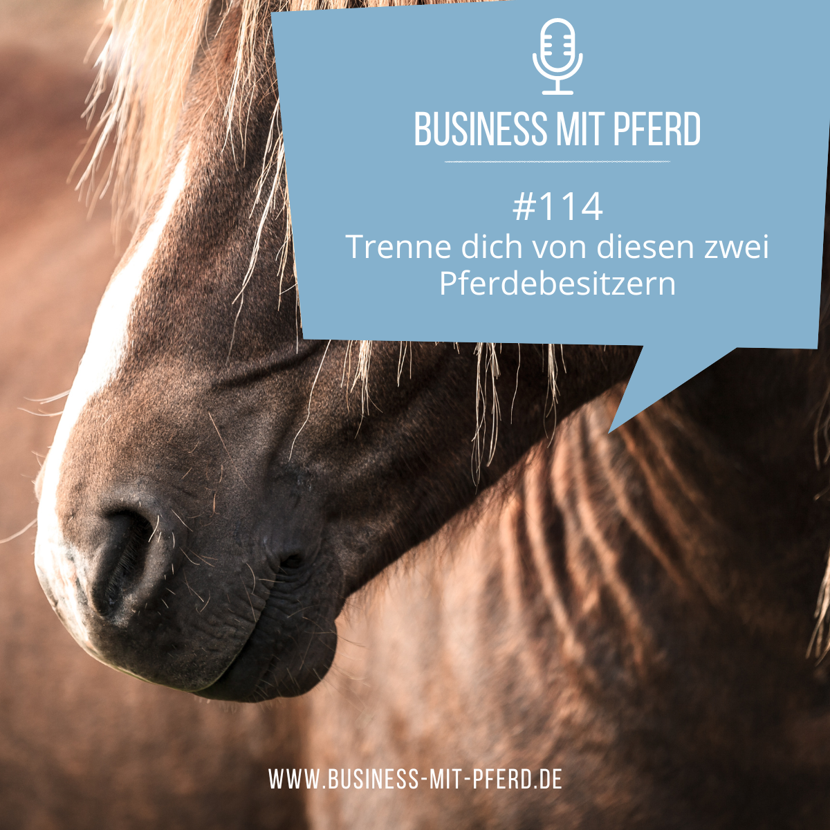 Business mit Pferd