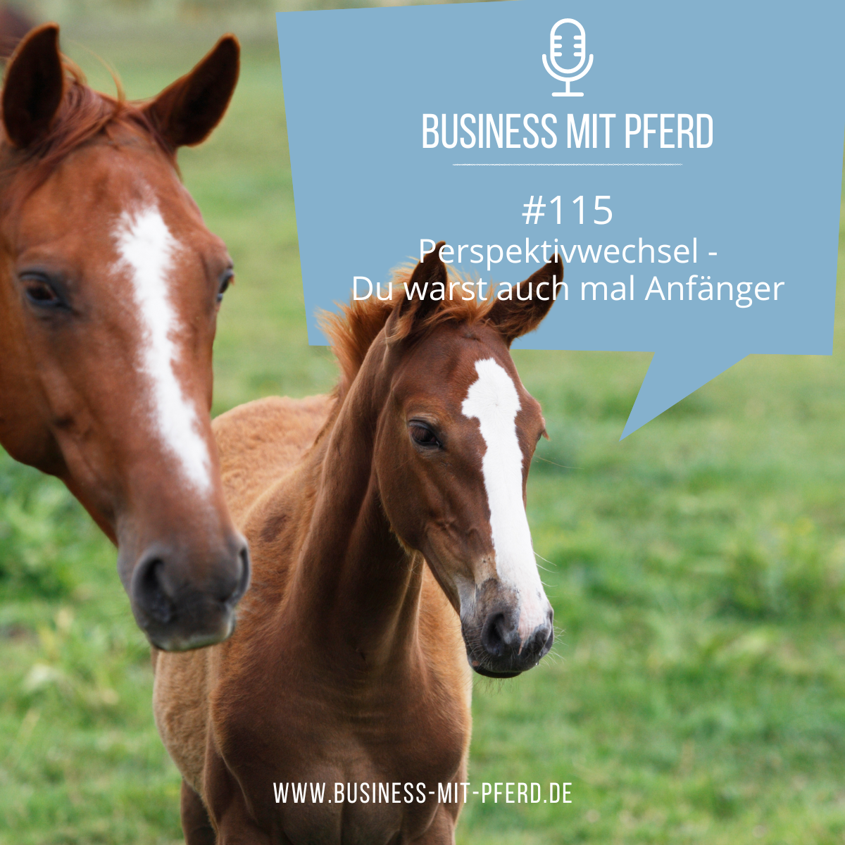 Business mit Pferd