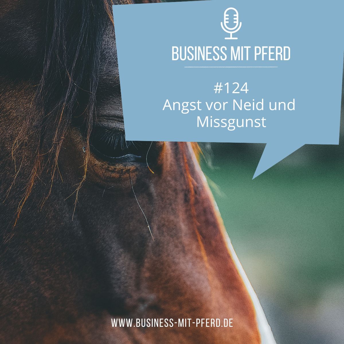 #124 Angst vor Neid und Missgunst
