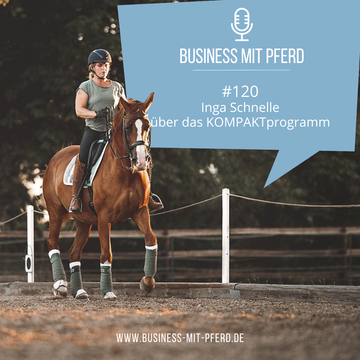 Business mit Pferd