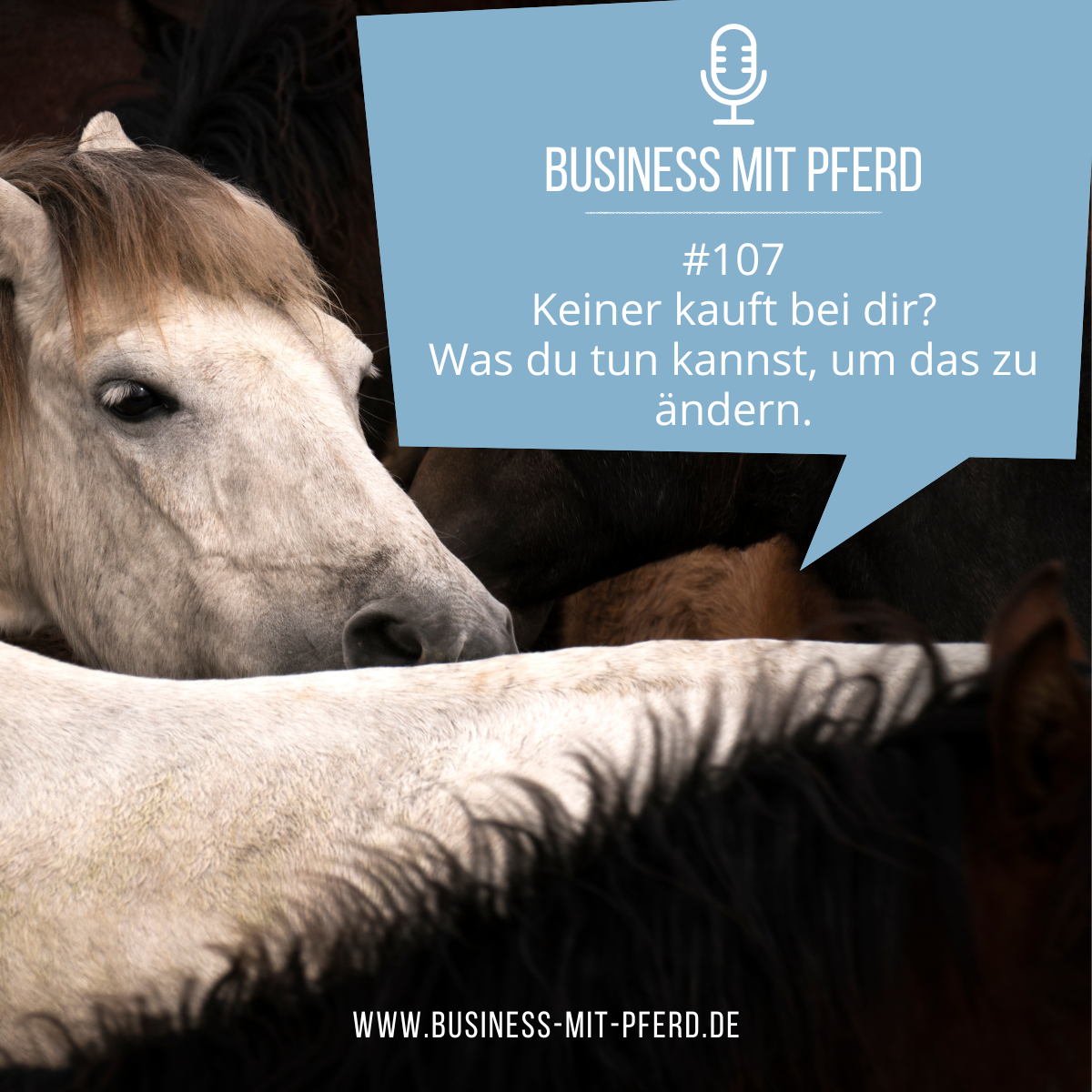 Business mit Pferd