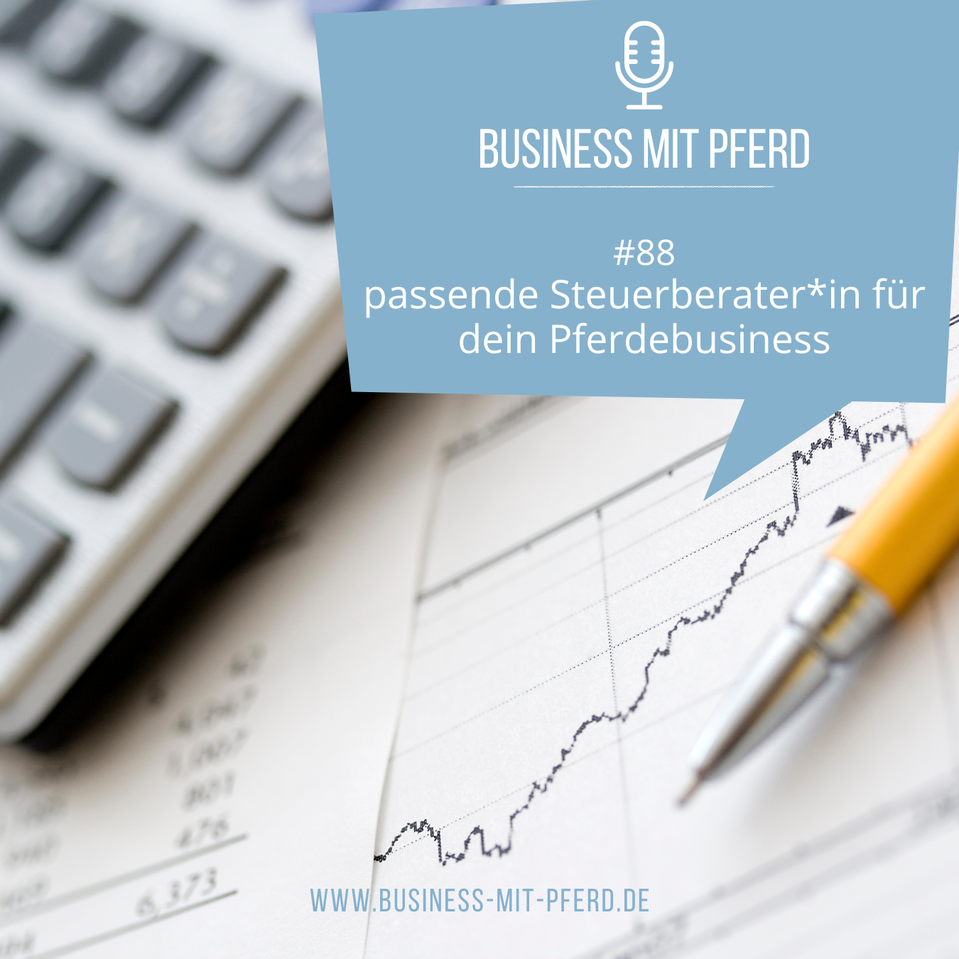 #88 passende Steuerberater*in für dein Pferdebusiness